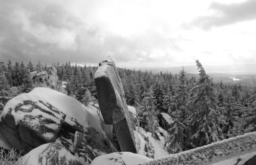 Fichtellofts - Foto 16