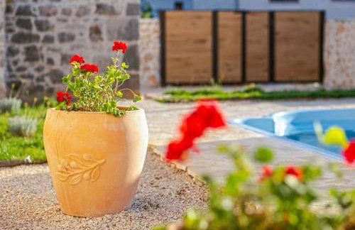 Heritage House Vrime - stone house with heated pool - Photo 13