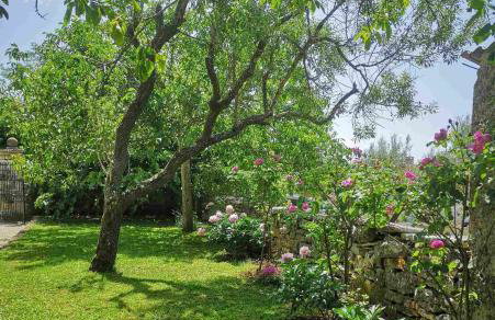 Apartment Gina - Foto 30