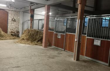 Apartament u Agaty Czernichów Kraków Zator - Foto 67