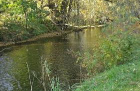 -Alirina- Ferienwohnung, 2 Schlafzimmer, Parkplatz - Foto 13