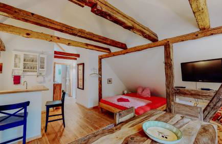 Landhaus Goldene Gans - Foto 56