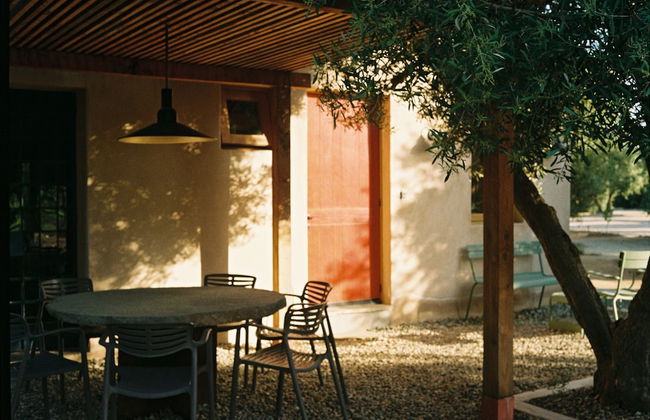 Alma Liebre Viñedos del Valle - Foto 10