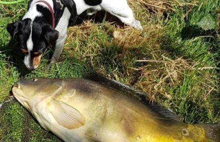 La Semondière - Photo 58