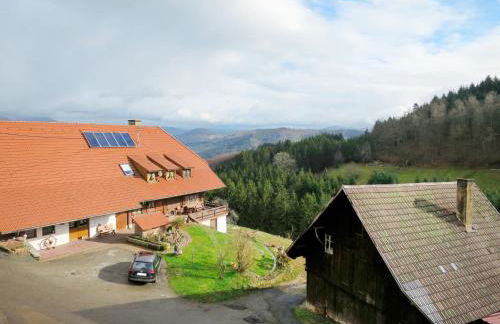 Apartment Schmalzenhof by Interhome - Foto 36