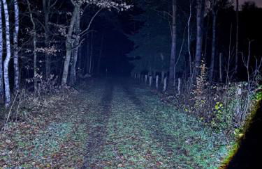 SMART Wald Apartment mit opt Buchung Wald SPA Sauna und Jacuzzi - Foto 15