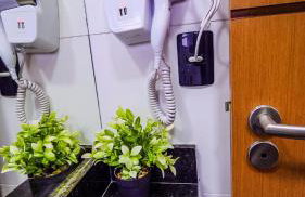 Chalé Amarelo - Foto 37