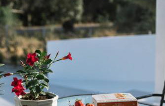 ANASTASIA'S Luxury Homes - Foto 47