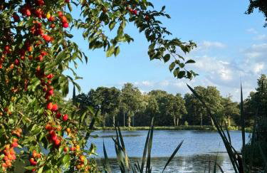 Amber Coast - Domki w Jantarze - Foto 27