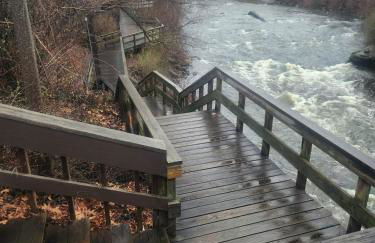 Tree House 6 bedrooms, 2 blocks from everything - Foto 7