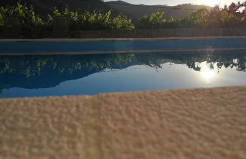 Casa Do Palheiro - Photo 59