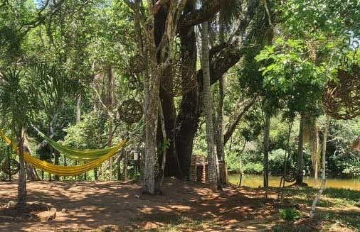 Reposo del Yhaguy Day Trip - Foto 1