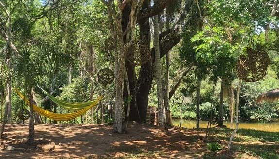 Reposo del Yhaguy Day Trip