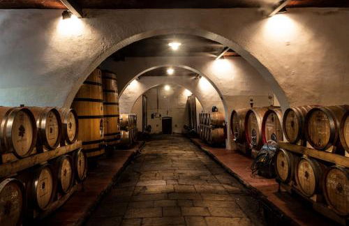 Florence Winery AgriResort - Fattoria Lavacchio - Foto 34