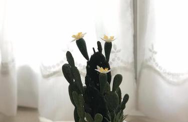 Apartment center Roko - Photo 6