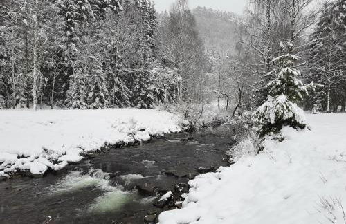 Ferienwohnung Auf gut Glück, Lautenthal, Harz - Foto 18
