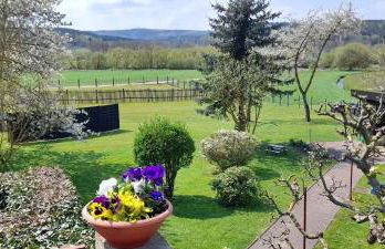 Am Grumbach bei Familie Lösch - Foto 25