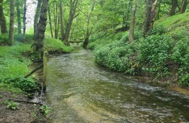 Grade 2 listed cottage near Dalby Forest - Thornton Le Dale - Foto 39