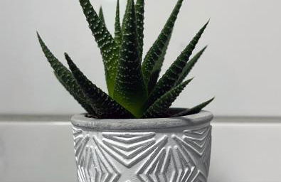 Metropolitan am Schloßpark - Foto 28