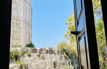 Nonna Cannella - Photo 31