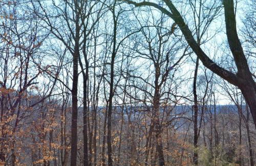 Serenity House Retreat Near MKT - Foto 38