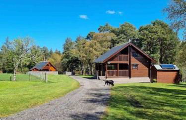 Red Squirrel log cabin with hot tub - Foto 15