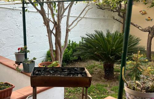 Nel giardino di Nunziatina - Photo 25