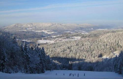 Geraeumige Wohnung fur 5 Personen in Drachselsried - Foto 50