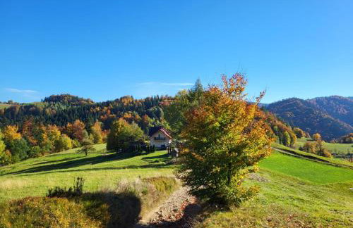 Dom przy szlaku GSB-Noclegi Na Przełęczy-Agroturystyka - Foto 16