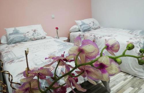 Alojamiento Acuarela - Confort junto al centro - Foto 1