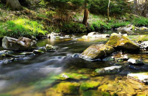 Pension 'Am Vogelherd' - Foto 32