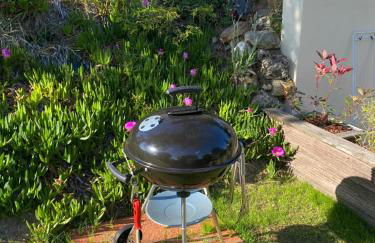 Dune et Terrasse - Photo 17