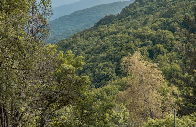 Apricot Aghveran Resort - Foto 79