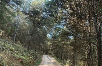 Apartaestudio Villanueva del Trabuco - Photo 30