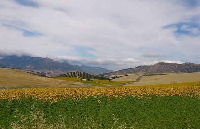 La Escuela del Campo - Photo 14