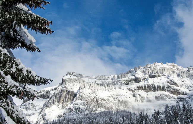 Girun Eder - Foto 30