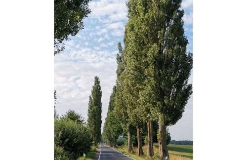 Holiday Home Home Comfortable Vacation Home - Foto 53