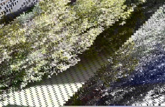 Samatsa Georgia Apartments - Foto 54