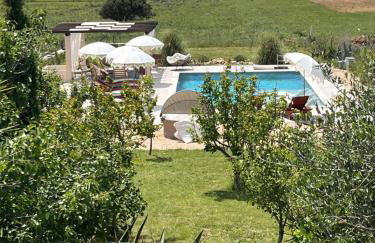 Villa Slatina near Zrce beach - Photo 6