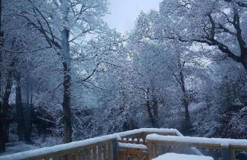 Stunning 3 Bed Riverside Cabin in Snowdonia - Photo 57