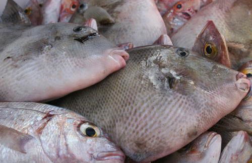 La casa de la playa - Photo 17