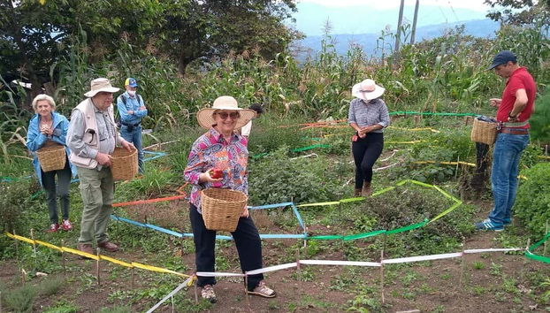 Cueillette de plantes aromatiques