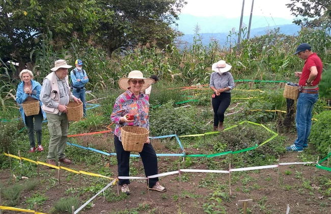 Séance d'aromathérapie et de méditation au domaine Tierra Activa - Photo 3
