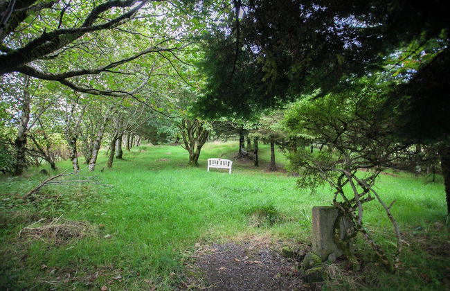 Jotunheim / Aparthotel / Family Friendly - Foto 44