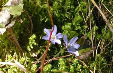 Ferienwohnung Ilona, Armin & Simon Funke - Photo 28