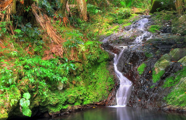 Excursión a Las Tinajas y Bosque Nacional El Yunque - Foto 1