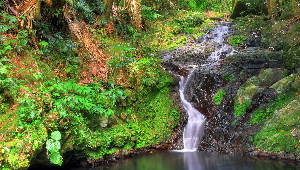 Excursão a Las Tinajas e ao Bosque Nacional El Yunque