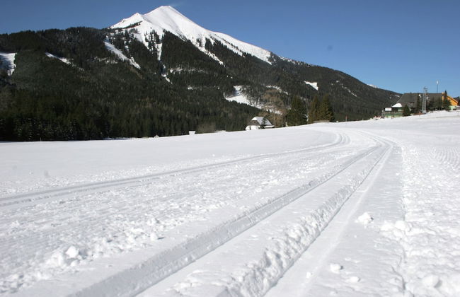 Chalet Hohentauern by Ski Lift - Foto 27