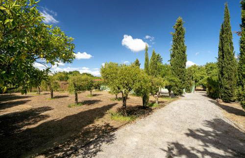 NEW! Quinta de Zanão House - Foto 76