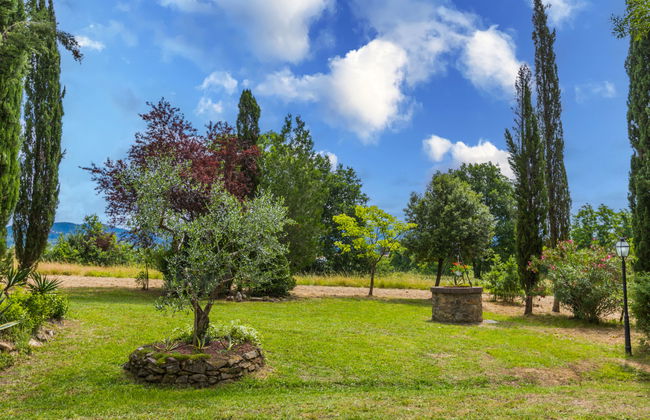 Tenuta La Colonna - Photo 60